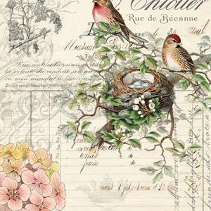 May include: Vintage-style illustration featuring two birds with red caps perched on branches, a nest with eggs, and floral elements. The background includes handwritten script and the text "Vins & Spiritueux en Gros".