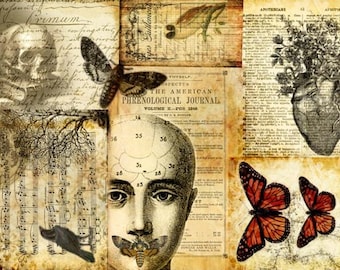 Roycycled Decoupage Paper, Halloween Masterboard, Skeleton Grunge Scrapbook Paper, Gift for Crafter, Butterfly Paper