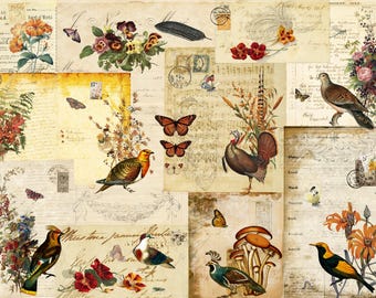 Roycycled Decoupage Paper Fall Flock, Fall Botanical Scrapbook Paper Bird, Gift for Crafter, Botanical Junk Journal, Roycycled Treasures
