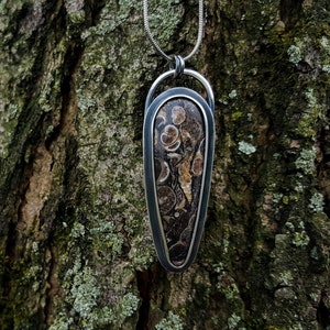 Turritella Agate Silver Pendant,
