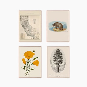 Printable Download, California Set of 4, Ode to California, Vintage California Map, Grizzly Bear, California Poppy, Giant Sequoia, CA Nature