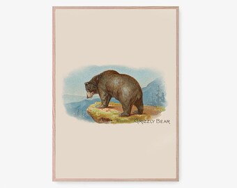 Printable Instant Download, Vintage Grizzly Bear Illustration, Ursidae, California Grizzly, Vintage Animal Wall Art, Retro Nature Art