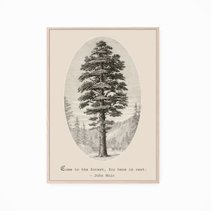 Printable Instant Download, Redwood John Muir Quote Vintage Print, Nature Gifts, Sequoia, Tree Art, Come To The Forest For Here Is Rest