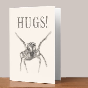 Printable Instant Download, Jumping Spider Card, Hugs