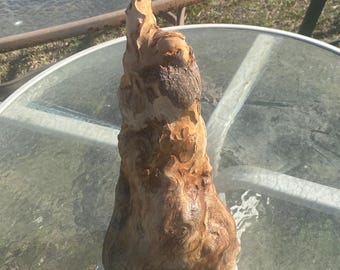 Florida Cypress Knee Wood 15”