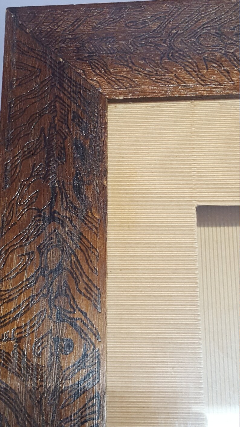 Zebra Shadowbox Picture Etsy