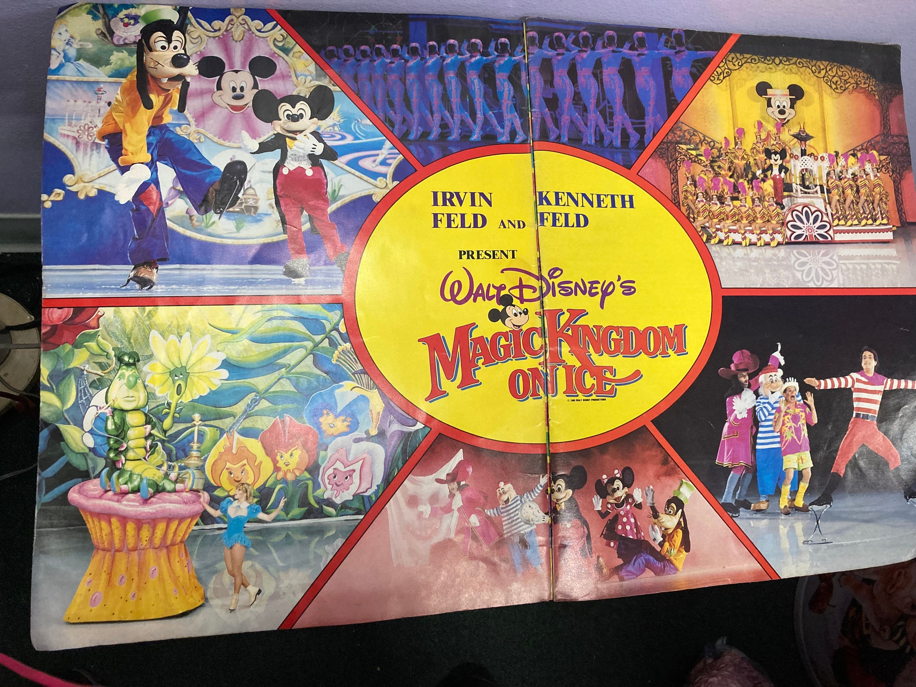Walt Disneys Magic Kingdom on Ice 1983 Souvenir Program - Etsy