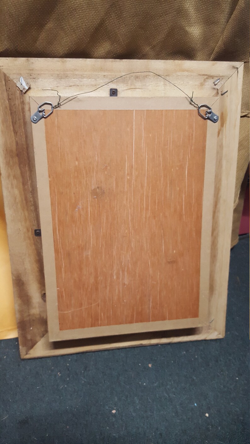 Zebra Shadowbox Picture Etsy