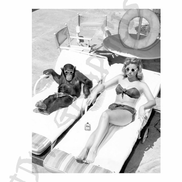 Chimp woman Sunbathing Art Print Poster Canvas Funny Beach House Lake House Decor Woman Retro Vintage  58