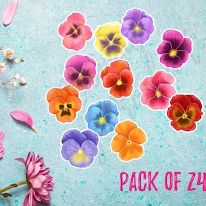 24 Pcs Pansy Sticker Pack, Flower Sticker Pack, Floral Sticker Pack, Pansies, Planner Stickers, Journal Supplies, Journal Stickers