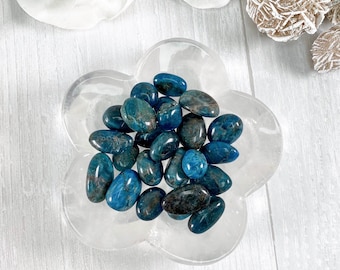 Blue Apatite Tumbled Stones