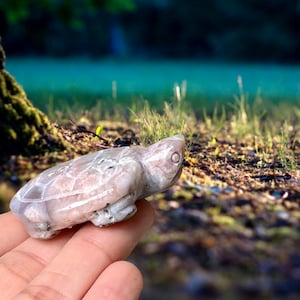 Flower Agate Turtle Carving, Crystal Turtle, Flower Agate Crystal, Cherry Blossom Agate, Chery Blossom Flower Agate, Sakura Agate