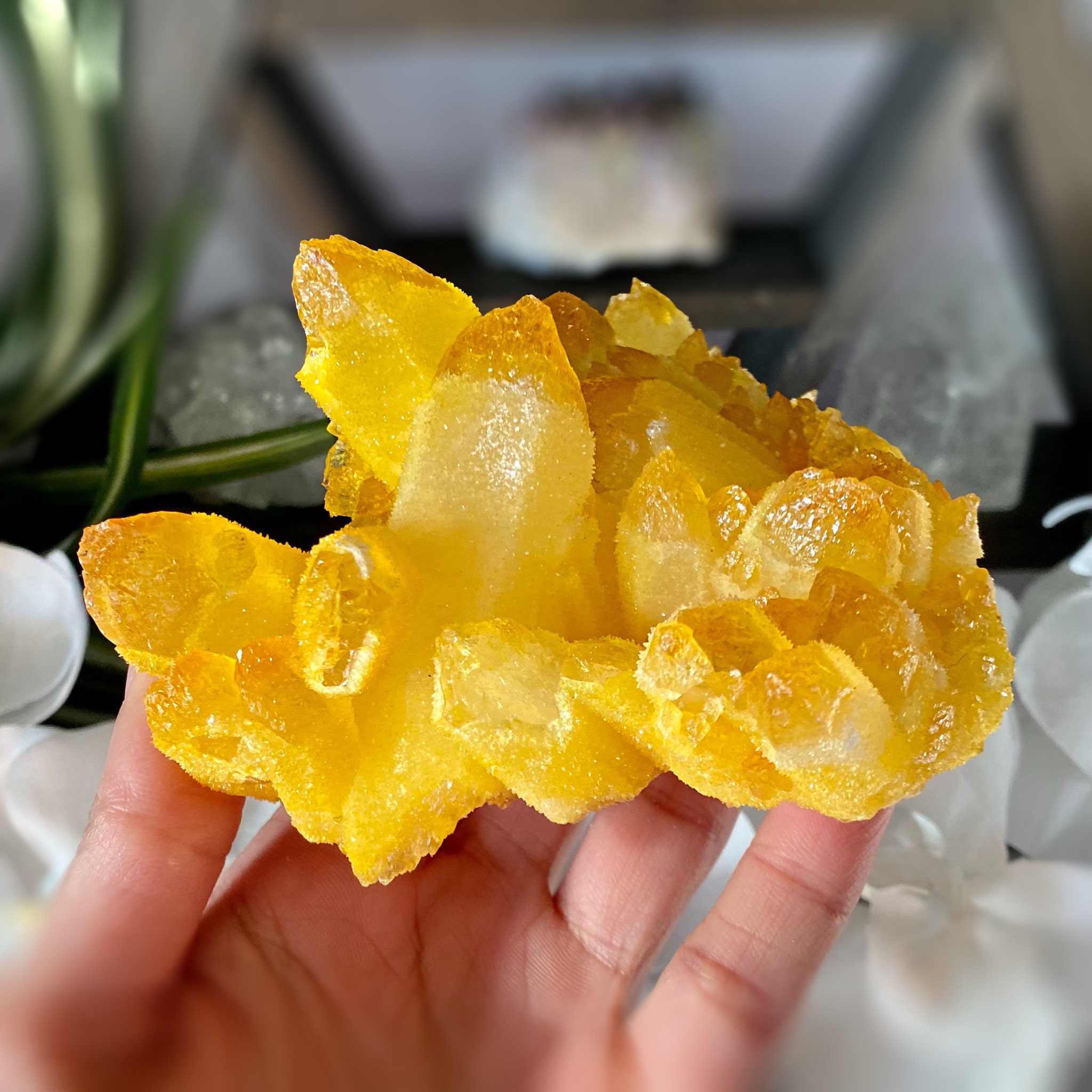 Large Sunshine Yellow Ferric Quartz Cluster Specimen