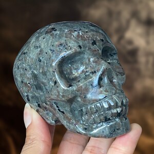 Op de afbeelding: Een grijze en zwarte gevlekte stenen schedel sculptuur. De schedel is gedetailleerd gesneden met een prominente kaaklijn en tanden.