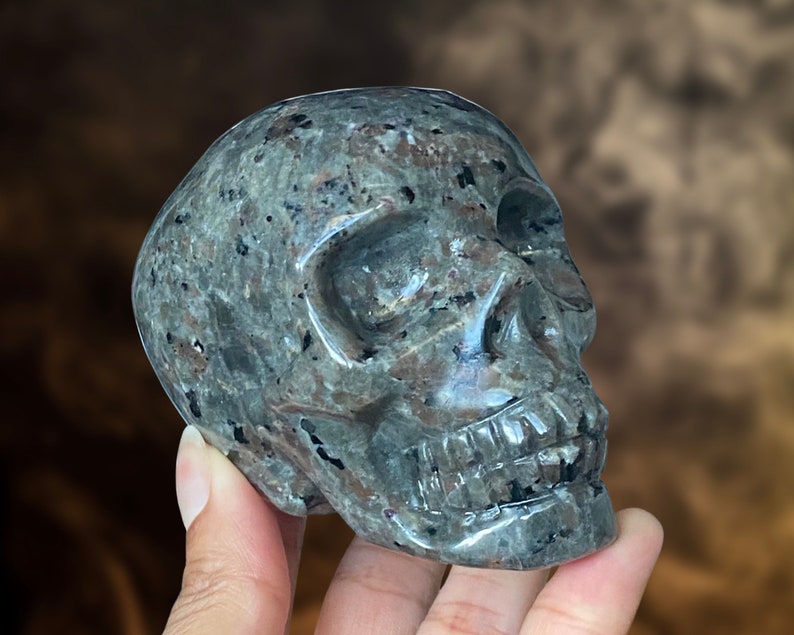 Op de afbeelding: Een grijze en zwarte gevlekte stenen schedel sculptuur. De schedel is gedetailleerd gesneden met een prominente kaaklijn en tanden.