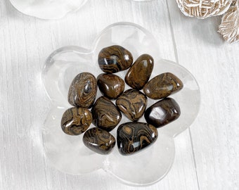 Stromatolite Tumbled Stone