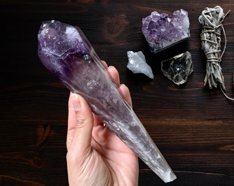 Polished Amethyst Root (Royal Amethyst/Dragon Tooth)