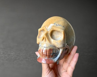 Crazy Lace Agate Skull