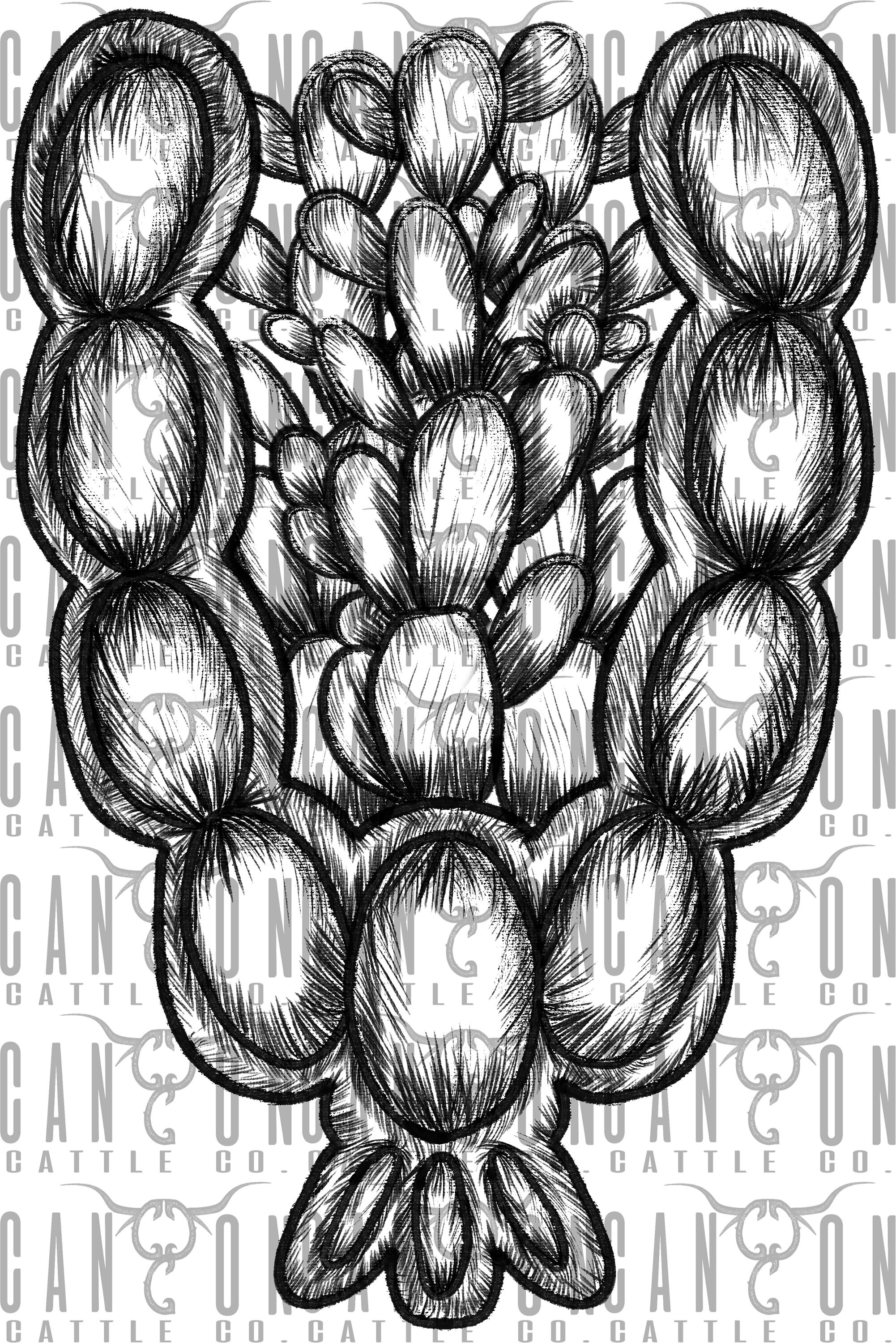 Western Turquoise Squash Blossom With Cactus Full Color and Etsy