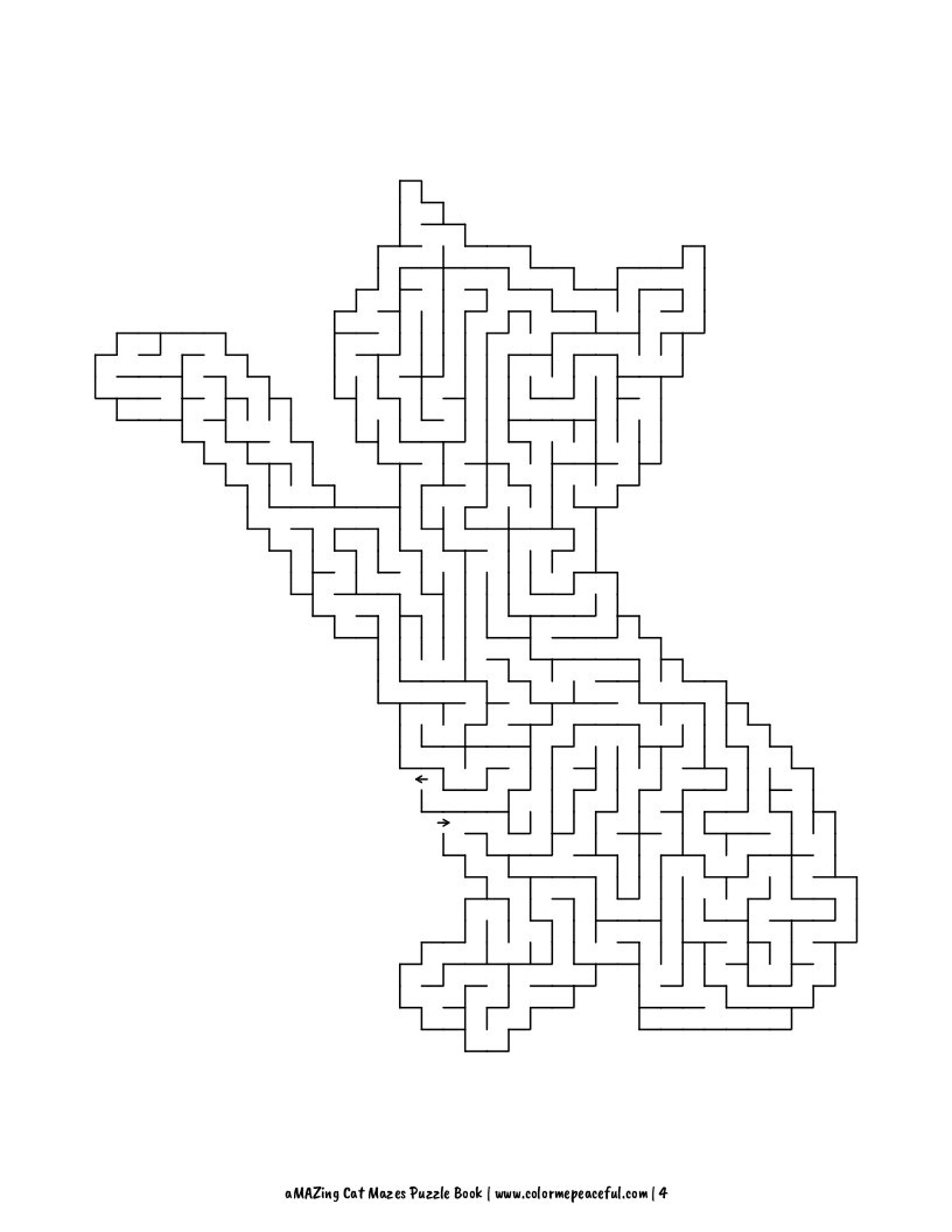 the amazing maze maze the amazing maze maze