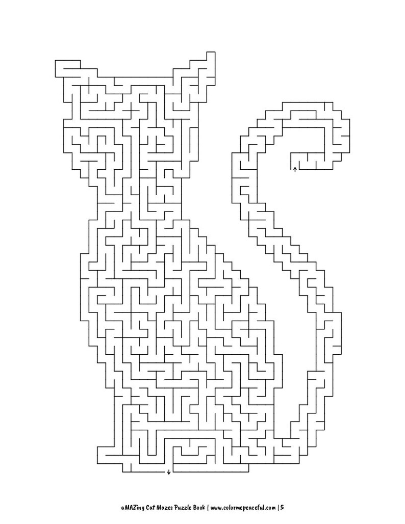 cat mazes cat mazes