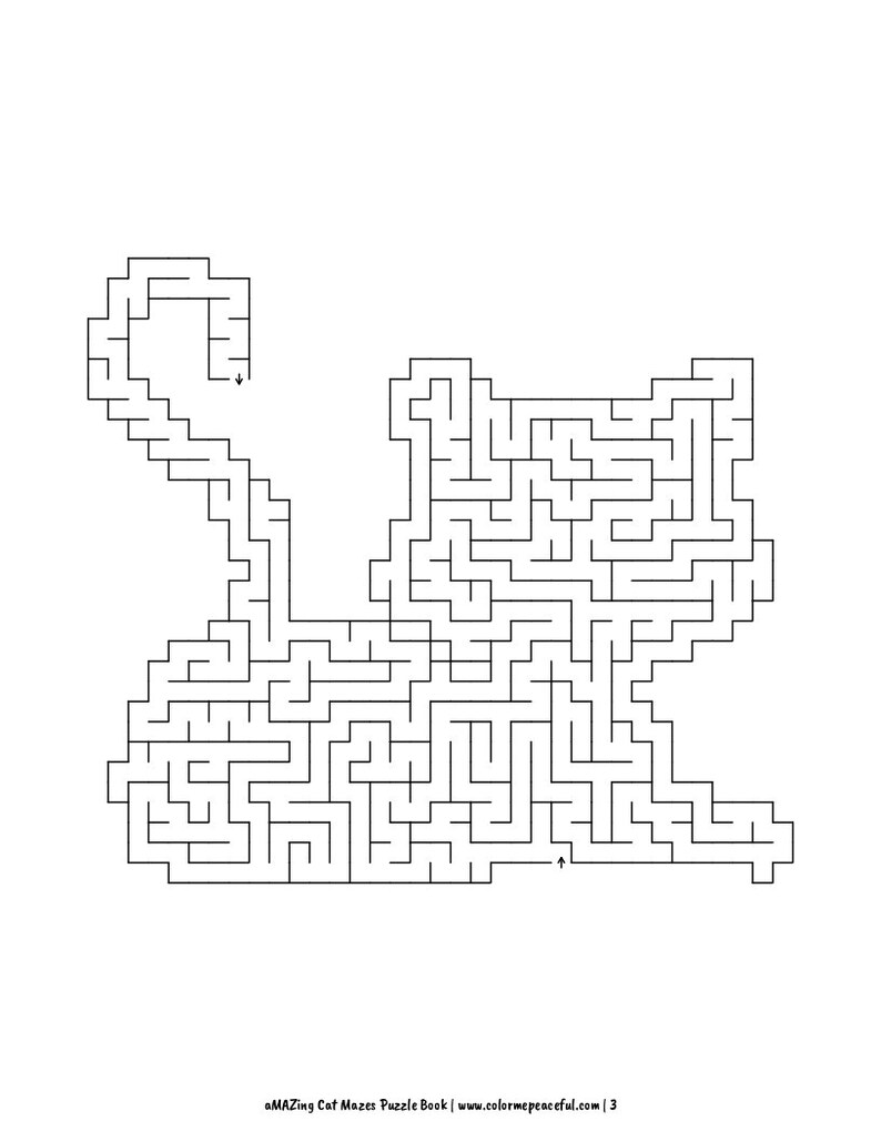 Maze puzzle