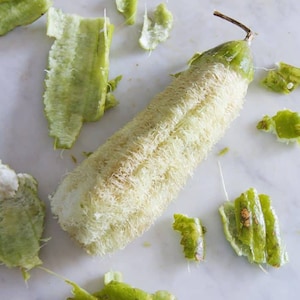 Paquet de graines de luffa