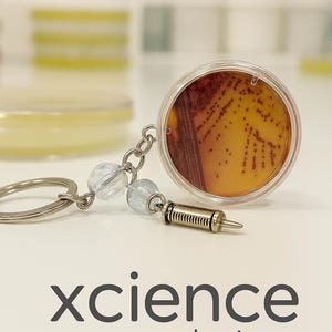 May include: A keychain with a petri dish design, displaying a brown and yellow pattern, and a silver-coloured syringe charm. The keychain has clear, round beads and the text "xcience designs".