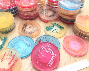 Savon Petri, boîte de Petri, savon de culture, savons scientifiques, savons de biologie, savon, cadeau de microbiologie