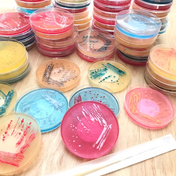 PETRI SOAP, petri dish, cultive soap, science soaps, biology soaps, soap, Microbiology gift