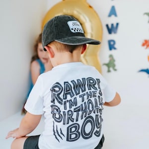 3 Rex Toddler Birthday Shirt – Dinosaur 3rd Birthday Boy Tee  – T-Rex Birthday Shirt –  Birthday Party Outfit – Dino Theme Shirt