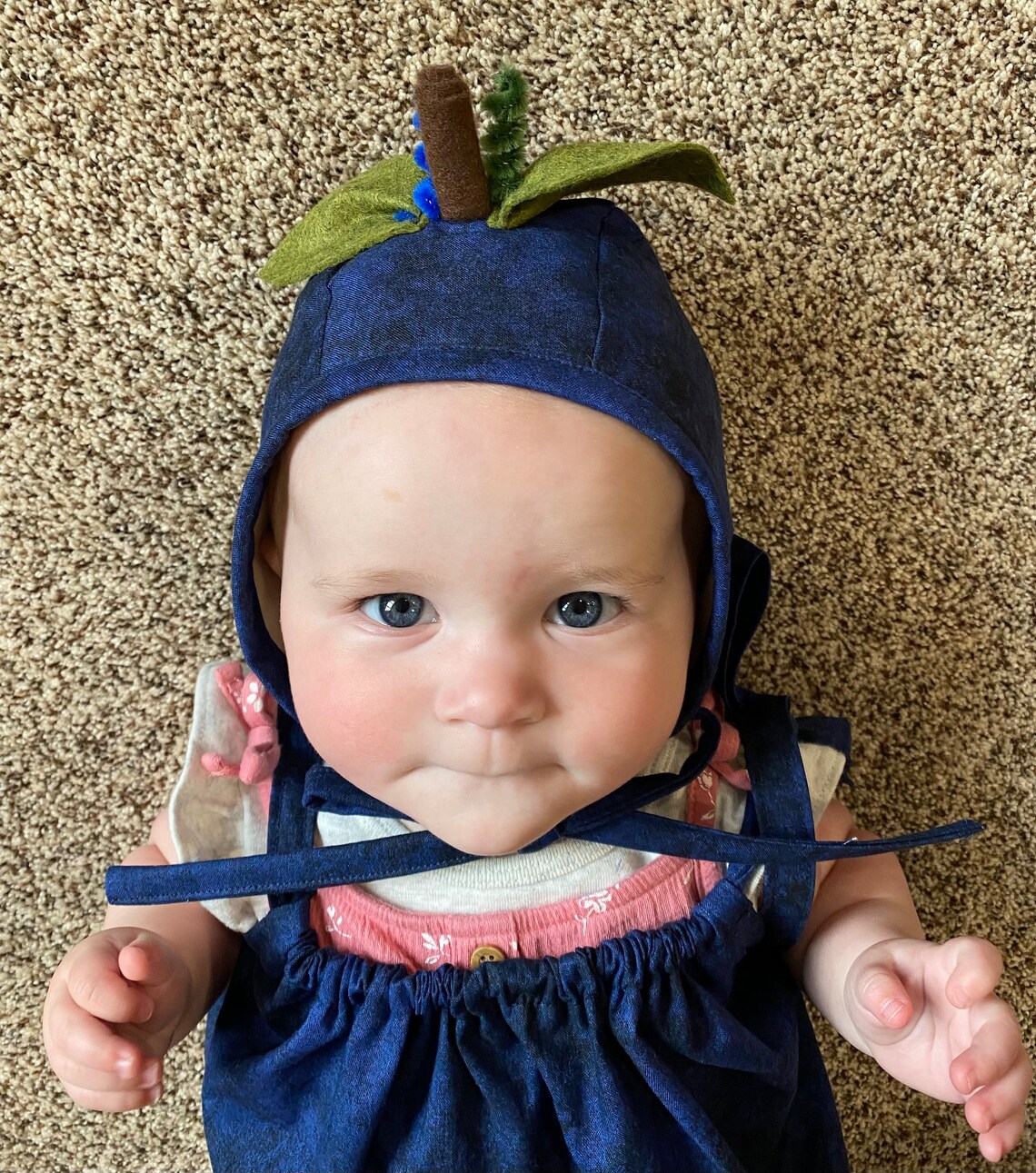 Blueberry Costume/blueberry Baby Costume/blueberry Baby Etsy