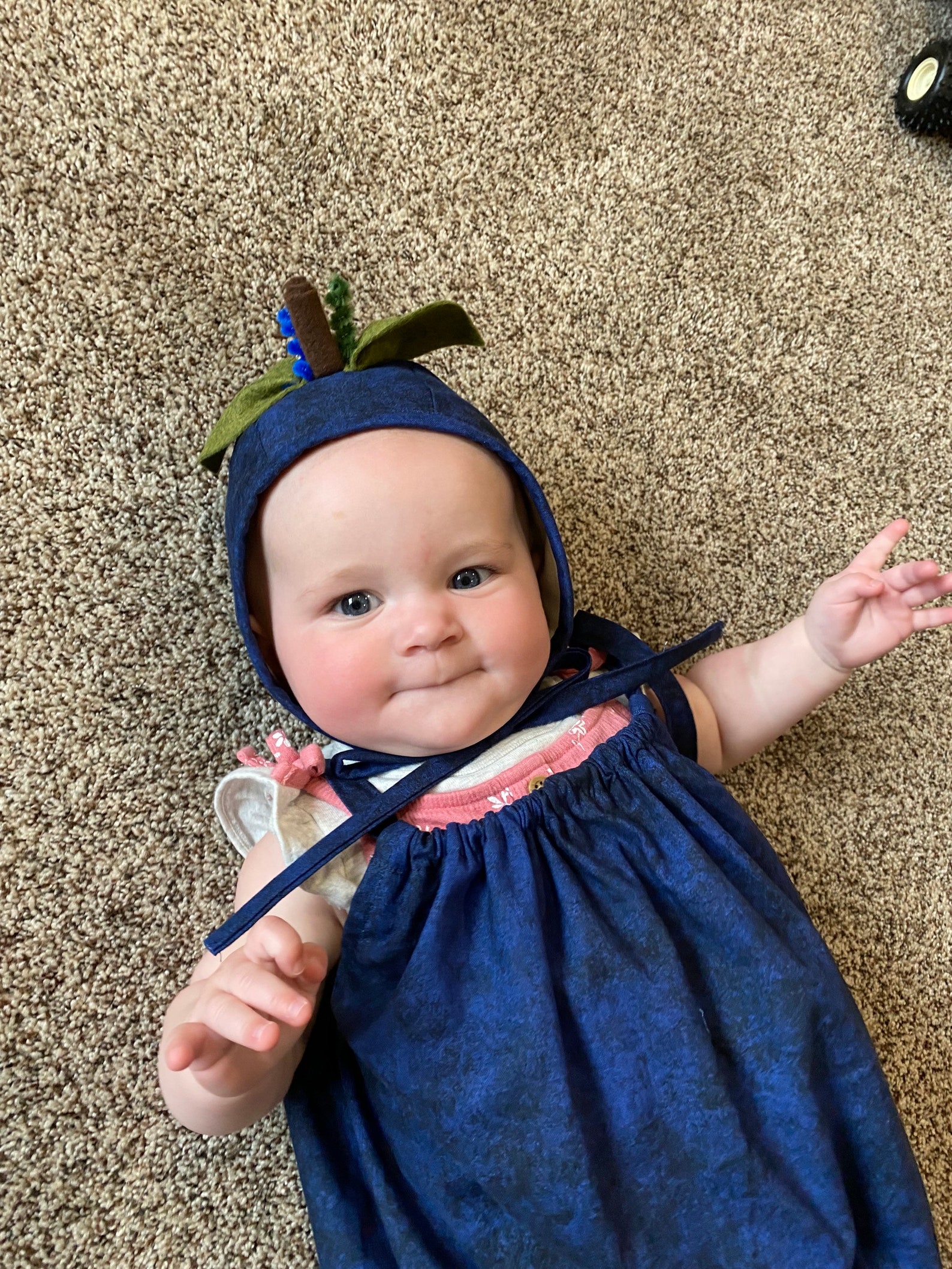 Blueberry Costume/blueberry Baby Costume/blueberry Baby Etsy