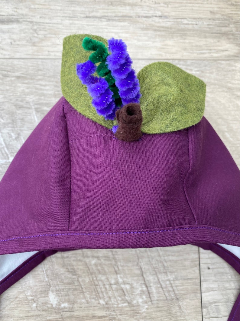 Blueberry Costume/blueberry Baby Costume/blueberry Baby Etsy