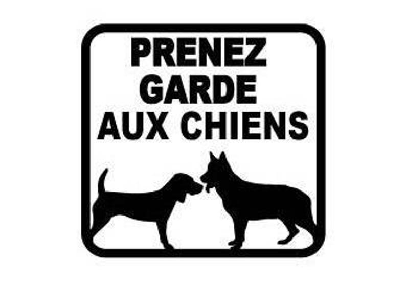 Beware of dogs beware of dog pugs dachshunds Aux chiens