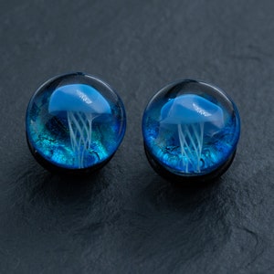 NewZenro Glass Ocean Jellyfish Color Ear Plugs Nigeria | Ubuy