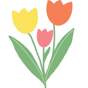 May include: A bouquet of three tulips in different colors: yellow, pink, and orange. The tulips have green stems and leaves.
