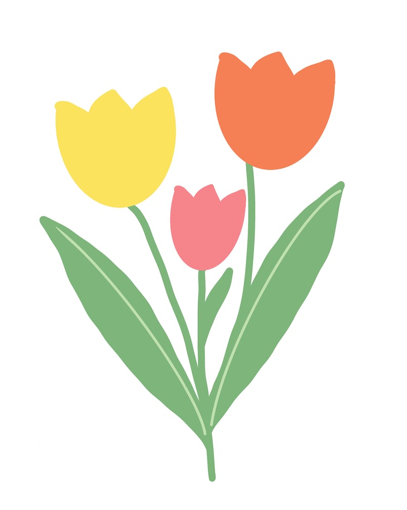 May include: A bouquet of three tulips in different colors: yellow, pink, and orange. The tulips have green stems and leaves.