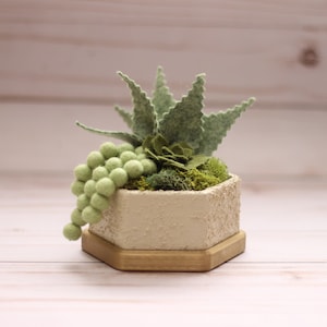 Felt Succulent  ||  Forever Succulent Decor  ||  Succulent Gift