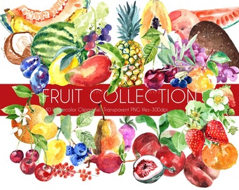 Watercolor Fruit Collection, Hand painted elements, Food clipart for Personal and Commercial Use