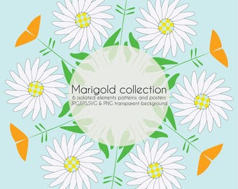 Marigold Floral Graphics Bundle Botanical SVG PNG EPS Silhouettes Seamless Patterns Posters Commercial Use