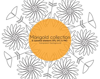 Marigold Silhouette SVG EPS PNG transparen beckground, Botanical Vector Files, Commercial Use, Digital Download