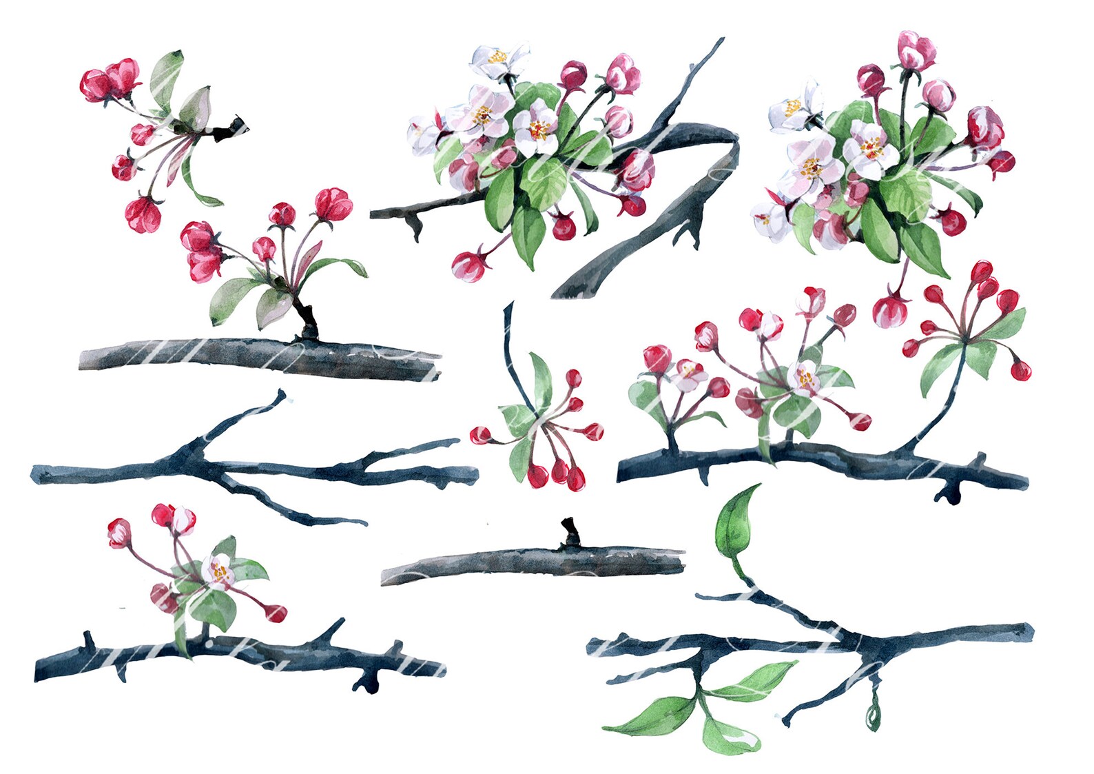 Ready for Spring Watercolor Clip Art Hand Painted Sparrow and - Etsy