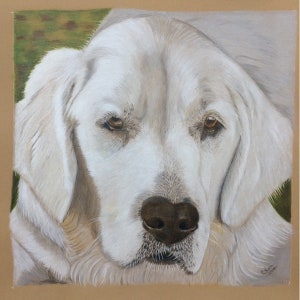 Custom Pet Drawing | Custom Pet Portrait | Horse Portrait | Dog Portrait | Pet Art |