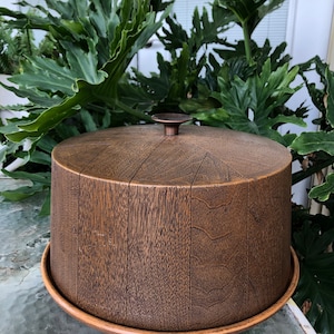 Vintage Hard Melamine Plastic Wood Look Texture 2 piece Dome Cake Dessert Plate and Cover-Retro-Pie-Knickknack-Decoration