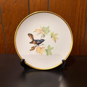Redstart from the Drawings of Audubon 8&quot; Collectible Plate Hutschenreuther Germany Wallace China