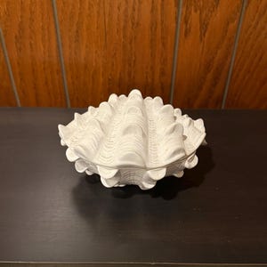 May include: A white ceramic clam shell-shaped decorative box. The box has a textured surface with detailed ridges and a scalloped edge. The box is sitting on a dark surface. The box is a decorative item.