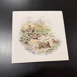 Vintage Villeroy & Boch Ceramic Tile Trivet Partridge 6&quot; x 6&quot;