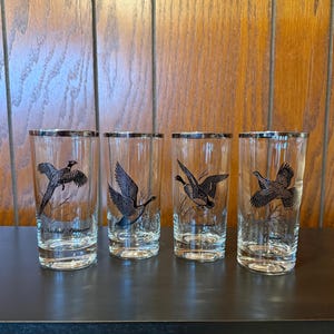 Set of 4 Vintage Game Bird Highball Collins Tumbler Silver Rim Glasses - Ring-necked Pheasant, Canada Goose, Canvasback, Grouse