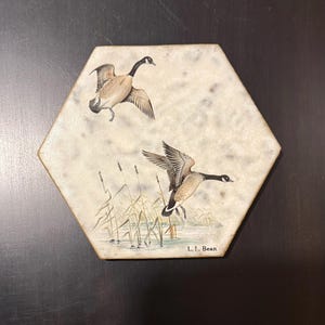 May include: A hexagonal ceramic tile with a white background featuring a painted image of two Canadian geese flying over a marsh. The tile is signed "L.L. Bean" in the bottom right corner.